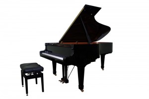piano og klaverflytning, pianospecialisten, erhvervsflytning, privatflytning, opbevaring, opmagasinering, transportfirma, pengeskabe & IT, Internationale flytning, Flyttefirma, Flyttefirma Danmark, Flyttefirma Jylland, Flyttefirma Sjælland